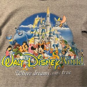 Walt Disney World Gray Graphic T-Shirt